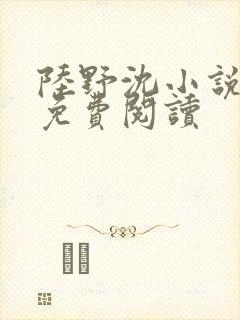 陆野沈小说全文免费阅读封面