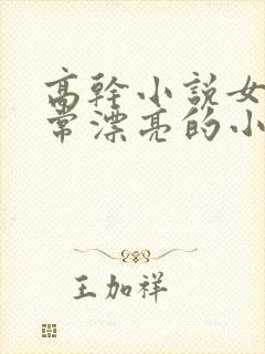 高干小说女主非常漂亮的小说封面