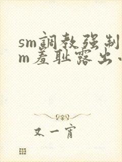 sm调教强制女m羞耻露出小说