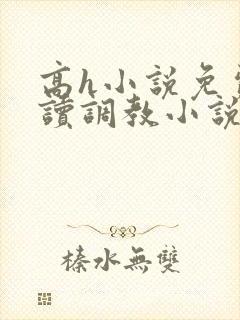 高h小说免费阅读调教小说免费阅读