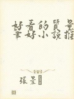 好看的质量高文笔好小说推荐