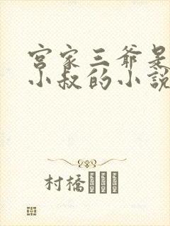 宫家三爷是女主小叔的小说