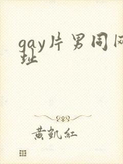 gay片男同网址封面