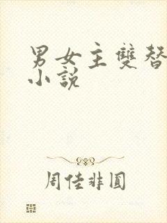 男女主双替身的小说