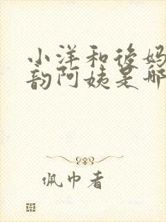 小洋和后妈,李韵阿姨是哪部小说里的