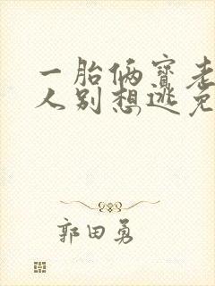 一胎俩宝老婆大人别想逃免费小说