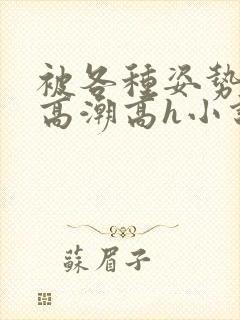 被各种姿势c到高潮高h小说