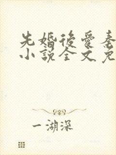 先婚后爱秦墨岭小说全文免费阅读无弹窗封面