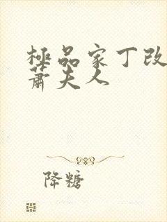 极品家丁改编版萧夫人封面