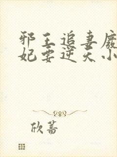 邪王追妻废材狂妃要逆天小说