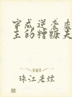 穿成逆袭爽文男主的糟糠夫(穿越重生)