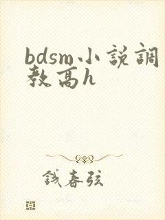 bdsm小说调教高h