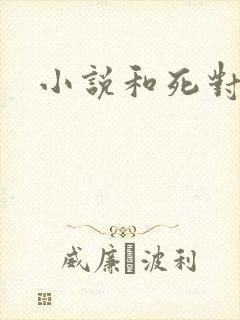 小说和死对头