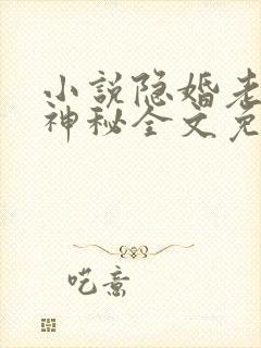 小说隐婚老公太神秘全文免费阅读