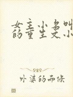 女主小名叫娇娇的重生文小说封面