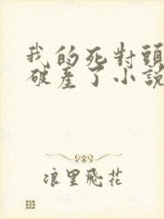 我的死对头终于破产了小说免费阅读