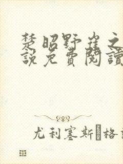 楚昭野崔之棠小说免费阅读最新章节