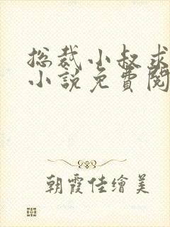 总裁小叔求放过小说免费阅读全文