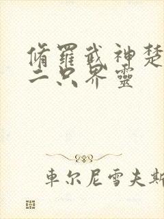 修罗武神楚枫第二只界灵