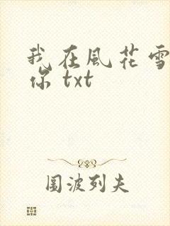 我在风花雪月等你 txt