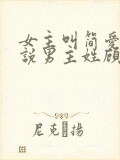 女主叫简爱的小说男主姓顾