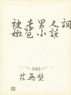 被老男人调教开嫩苞小说封面