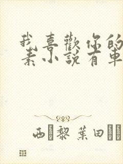 我喜欢你的信息素小说有车吗