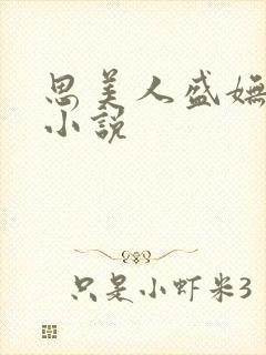 思美人盛妩司烨小说