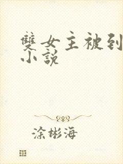 双女主被到爽流小说