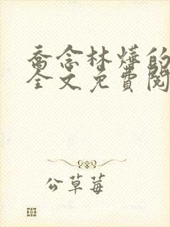 乔念林烨的小说全文免费阅读无弹窗