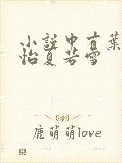 小说中有叶辰孙怡夏若雪封面