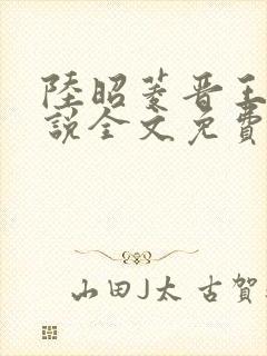 陆昭菱晋王的小说全文免费阅读