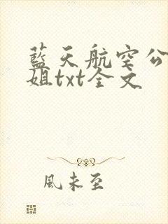 蓝天航空公司空姐txt全文