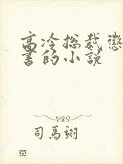 高冷总裁惩罚秘书的小说