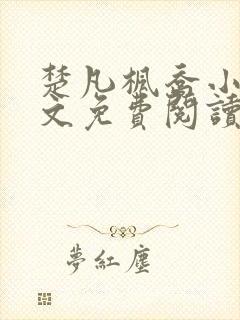 楚凡枫乔小说全文免费阅读最新章节封面