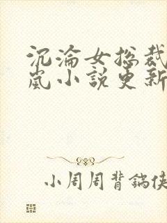 沉沦女总裁赵星岚小说更新时间