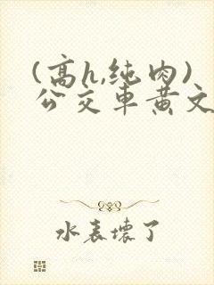 (高h,纯肉)公交车黄文封面