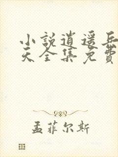 小说逍遥兵王洛天全集免费阅读全文