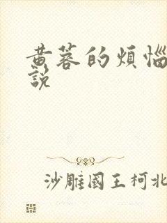 黄蓉的烦恼 小说