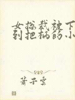 女总裁被下属抓到把柄的小说