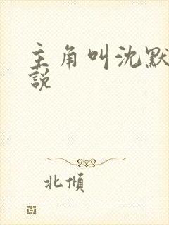 主角叫沈默的小说