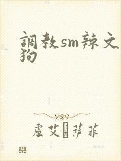 调教sm辣文母狗