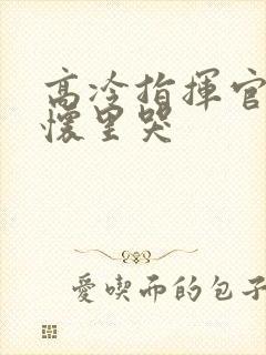 高冷指挥官在我怀里哭封面