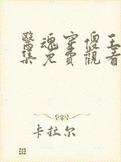 医魂穿傻王妃全集免费观看