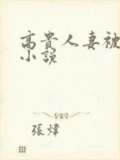 高贵人妻被调教小说封面