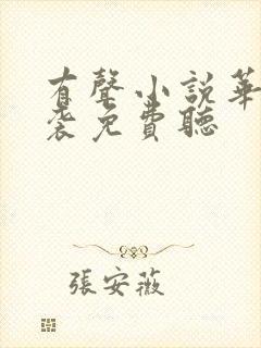 有声小说华丽逆袭免费听