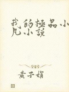 我的极品小姨叶凡小说