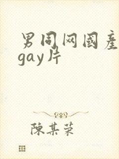 男同网国产原创gay片