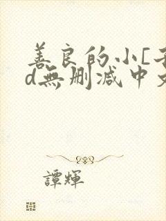 善良的小[子hd无删减中文封面