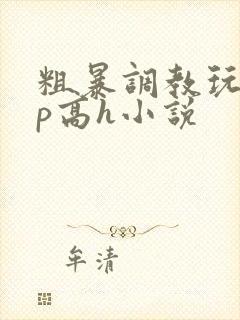 粗暴调教玩弄np高h小说